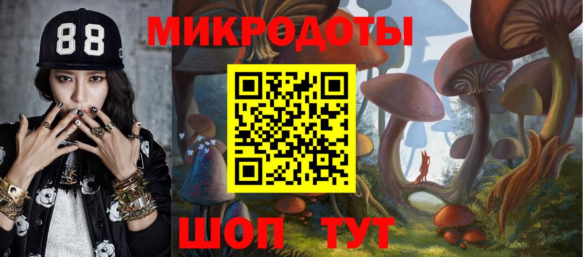 Псилоцибиновые грибы Magic Shrooms Мурманск